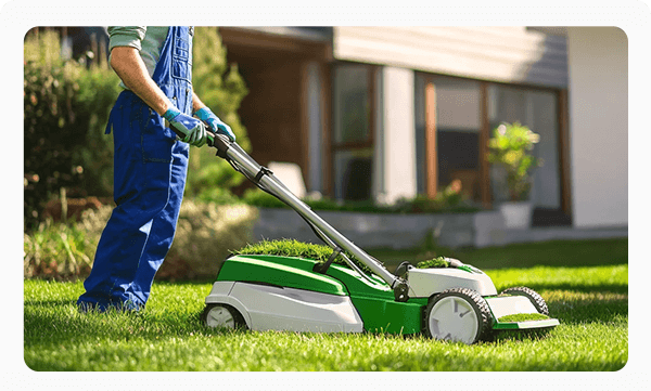 Lawn & Turf Management In Dubai